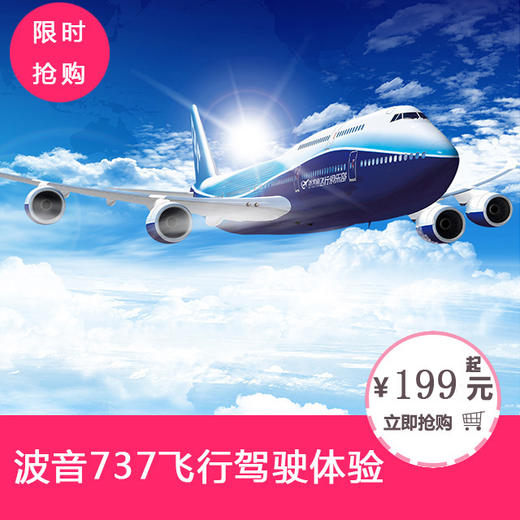 飞行体验|波音737飞行驾驶体验 商品图2