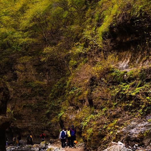 清明1天【龙门涧】龙门涧峡谷•爨底下古村落の京西小众宝藏地 商品图2