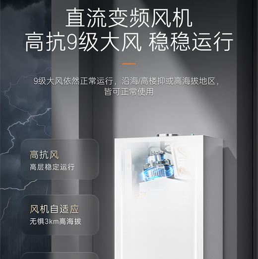 海尔（Haier）采暖炉 LL1PBD26-JN7PLUSNRPCU1 商品图13