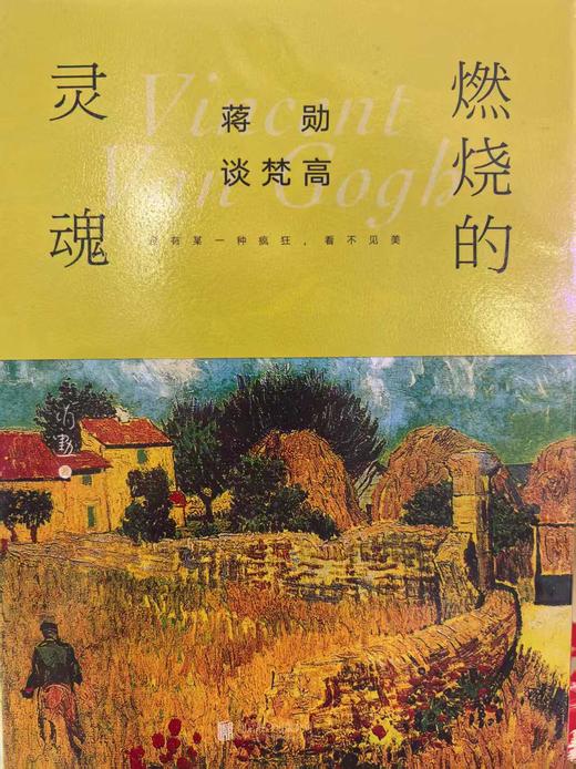 【独家旧书3折】 燃烧的灵魂 二手书籍（新疆 西藏 甘肃 青海 海南不包邮）bj 商品图0