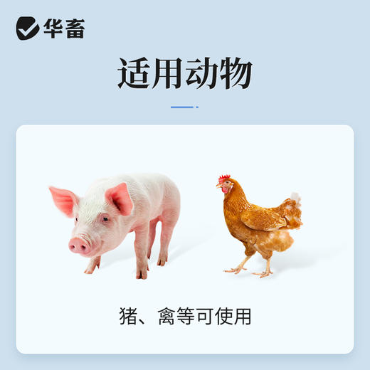 华畜注射用酒石酸泰乐菌素猪支原体呼吸道正品牛羊用肺炎咳嗽喘气 商品图2