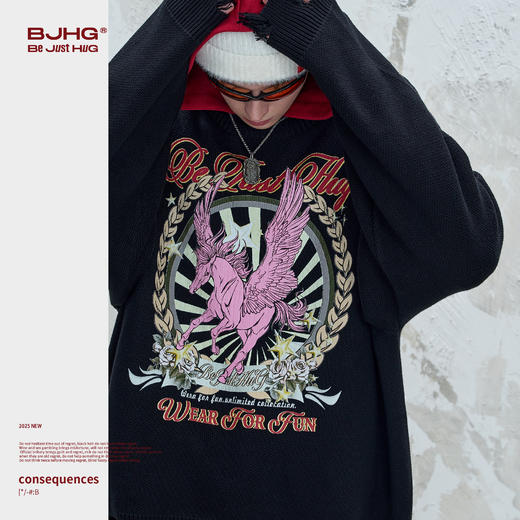 BJHG不计后果趣味飞马毛衣男款秋冬季宽松做旧美式街头针织毛衣女 商品图1