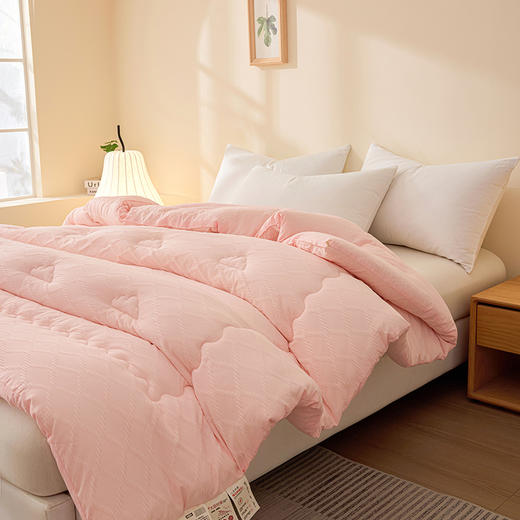 【品牌直发】加倍生活 菱形格提花大豆被 三色可选 春秋被/冬被/加厚冬被 1.5/2.0/2.2m被芯可选 商品图2