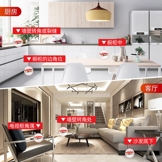 安速日本原装进口 蟑螂屋5枚装 商品图2