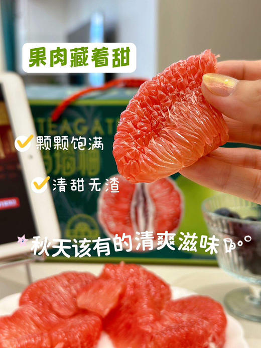 酸甜多汁！｜不好吃包售后精选平和老树三红柚 /翡翠柚 商品图2