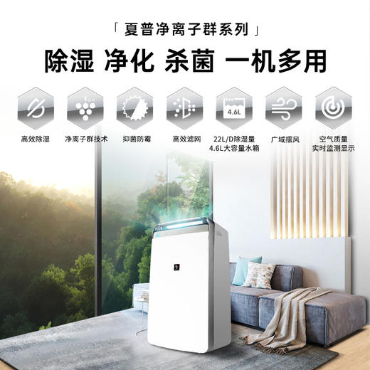 【百年夏普 除湿+净化+除菌三合一】夏普除湿机CN30空气净化一体家用大功率卧室烘干器抽湿机防潮干衣CN40 商品图1