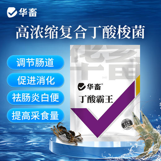 华畜丁酸霸王200g调节肠道提高采食量 商品图0