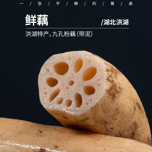 洪湖泥藕| 洪湖特产，九孔鲜藕，现挖现发，带泥发货，炒菜脆口，3斤、5斤装⭐️京东顺丰随机发货 商品图0
