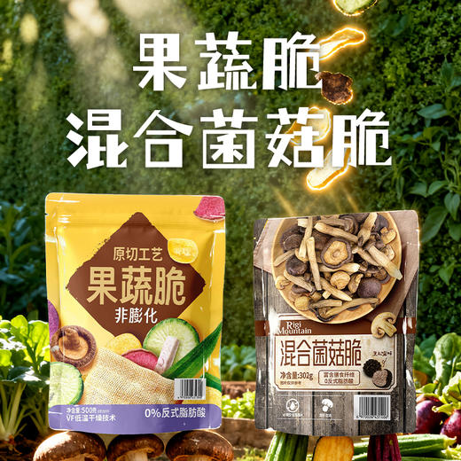 RigiMountain果蔬脆500g|混合菌菇脆302g 商品图0