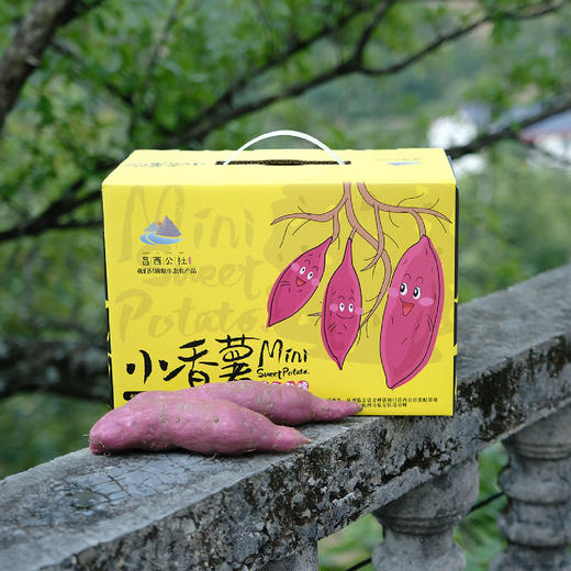 昌西公社【中果】临安天目山区小香薯生态种植软糯香甜现挖现发5斤 商品图3