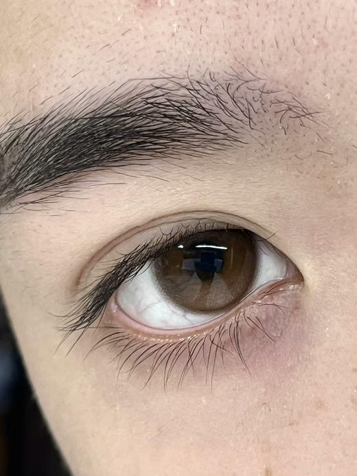 RECOLOOK栗子棕（佩戴直径：14.5mm） 商品图6