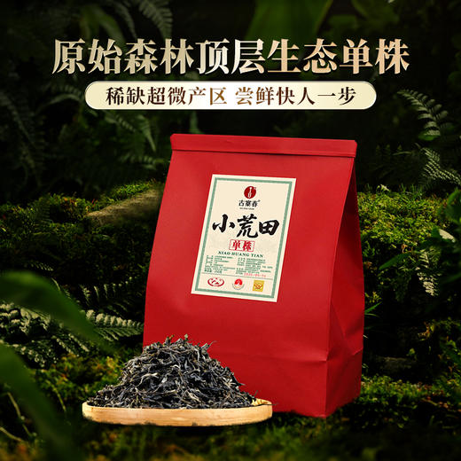 【小荒田单株】2024年原始森林顶层生态单株 鲜为人知的小荒田 茶甜度仅次于冰岛老寨 250克/袋 商品图0