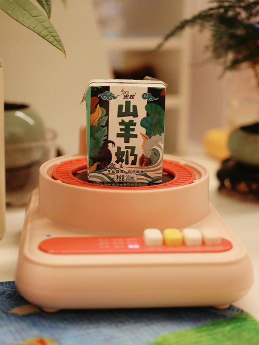 【养生壶】高硼硅加厚玻璃，0胶水0涂层  800W快煮➕超静音，加热不扰人 分离设计+光滑壶身，冲洗更方便 商品图2