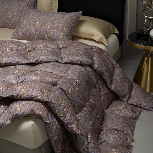 【云粉节】10楼 宜庭 卢浮宫大白鹅90%加厚冬被  吊牌价4980-6980元 活动价999-1399元 商品图1