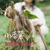 昌西公社【中果】临安天目山区小香薯生态种植软糯香甜现挖现发5斤 商品缩略图4