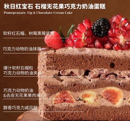 秋日红宝石 石榴无花果巧克力· 奶油蛋糕 商品图1