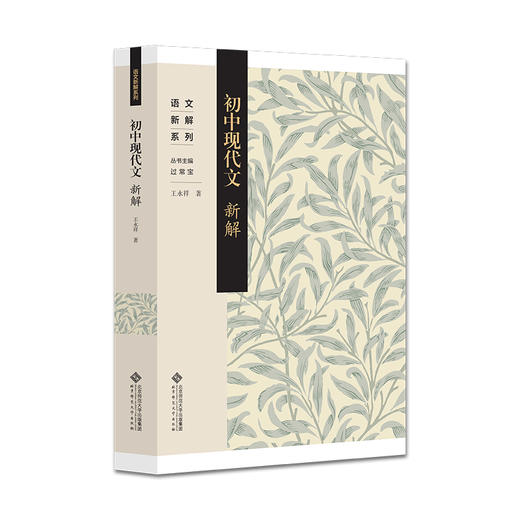 初中现代文新解 商品图0