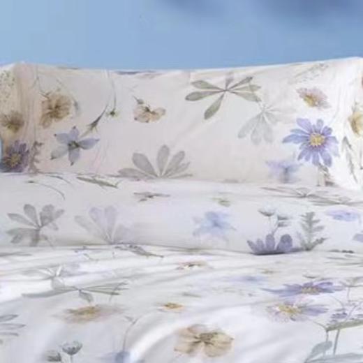 10楼堂皇      天丝四件套-花玲220x240     吊牌价1790元  活动价399元 商品图1