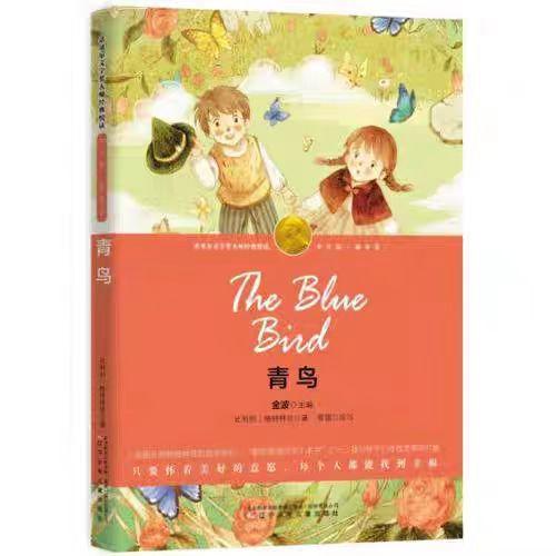 【独家旧书3折】青鸟  二手书籍（新疆 西藏 甘肃 青海 海南不包邮）bj 商品图0