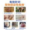 【澳龙】易安欣马波沙星片宠物皮肤感染脓皮症毛囊炎创伤脓肿猫狗通用 商品缩略图2