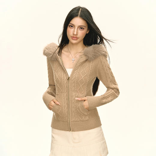 Ariseism 美式复古设计感连帽开衫毛衣外套女秋季新款修身上衣 商品图1