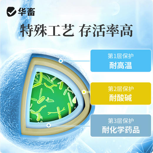 华畜丁酸霸王200g调节肠道提高采食量 商品图3