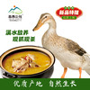昌西公社溪水散养土鸭 商品缩略图0