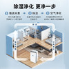 【百年夏普 除湿+净化+除菌三合一】夏普除湿机CN30空气净化一体家用大功率卧室烘干器抽湿机防潮干衣CN40 商品缩略图2