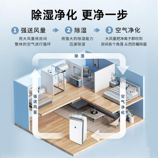 【百年夏普 除湿+净化+除菌三合一】夏普除湿机CN30空气净化一体家用大功率卧室烘干器抽湿机防潮干衣CN40 商品图2