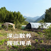昌西公社高山散养土鸡3斤左右农家散养 商品缩略图3