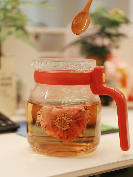 【养生壶】高硼硅加厚玻璃，0胶水0涂层  800W快煮➕超静音，加热不扰人 分离设计+光滑壶身，冲洗更方便 商品图1