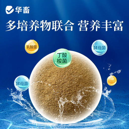 华畜丁酸霸王200g调节肠道提高采食量 商品图4