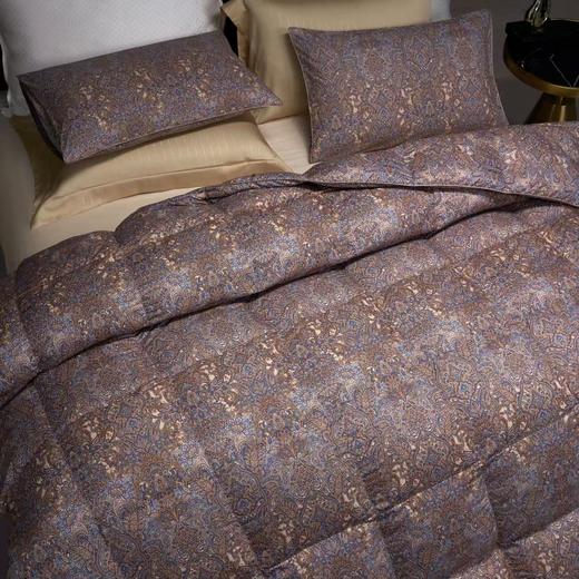 【云粉节】10楼 宜庭 卢浮宫大白鹅90%加厚冬被  吊牌价4980-6980元 活动价999-1399元 商品图0