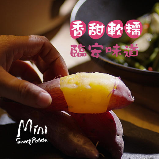 昌西公社【中果】临安天目山区小香薯生态种植软糯香甜现挖现发5斤 商品图1