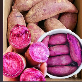 有机紫薯