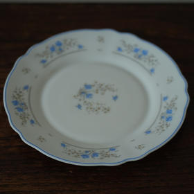 法国Arcopal弓箭手奶玻璃蓝花餐盘