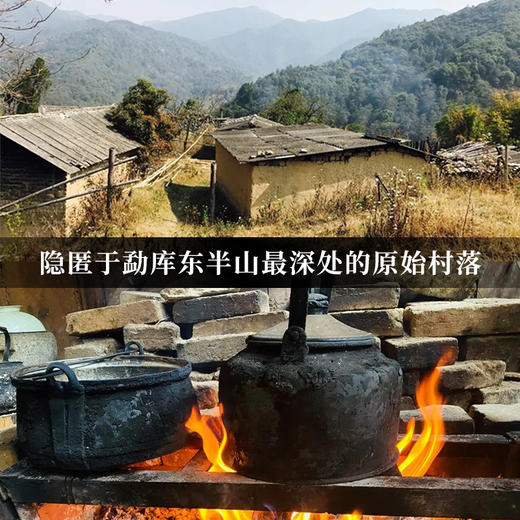 【小荒田单株】2024年原始森林顶层生态单株 鲜为人知的小荒田 茶甜度仅次于冰岛老寨 250克/袋 商品图2