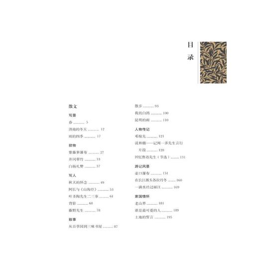 初中现代文新解 商品图2