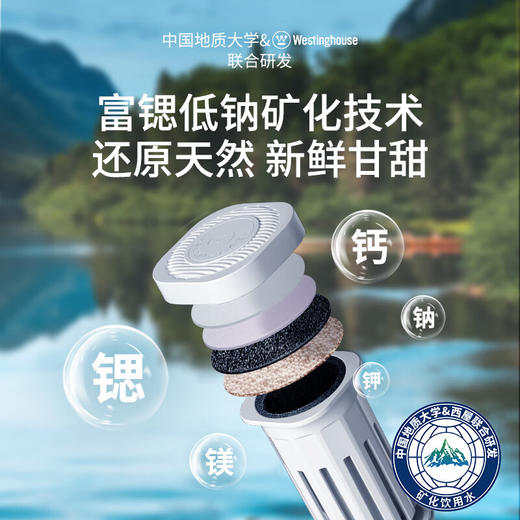 【美国西屋 即热/制冷饮水机】西屋台式即热式饮水机小型饮水机家用 制冷速热办公台式客厅台面即热饮水机 免安装一键速热恒温直饮机 商品图6