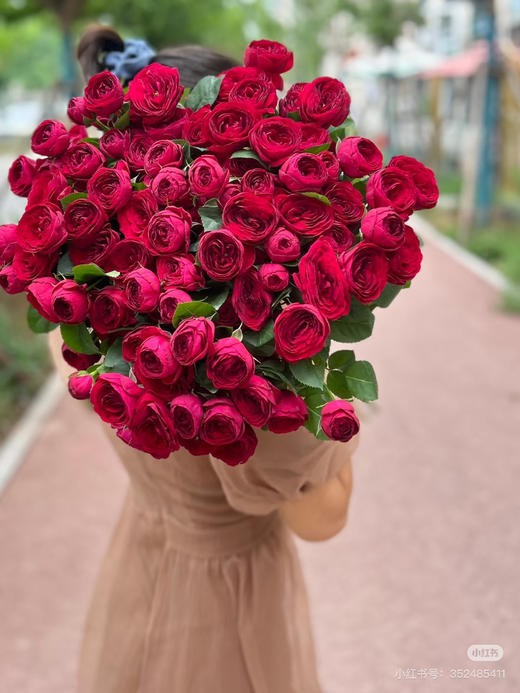 多头玫红蕾丝 商品图0