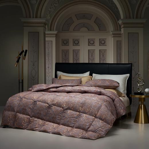 【云粉节】10楼 宜庭 卢浮宫大白鹅90%加厚冬被  吊牌价4980-6980元 活动价999-1399元 商品图4