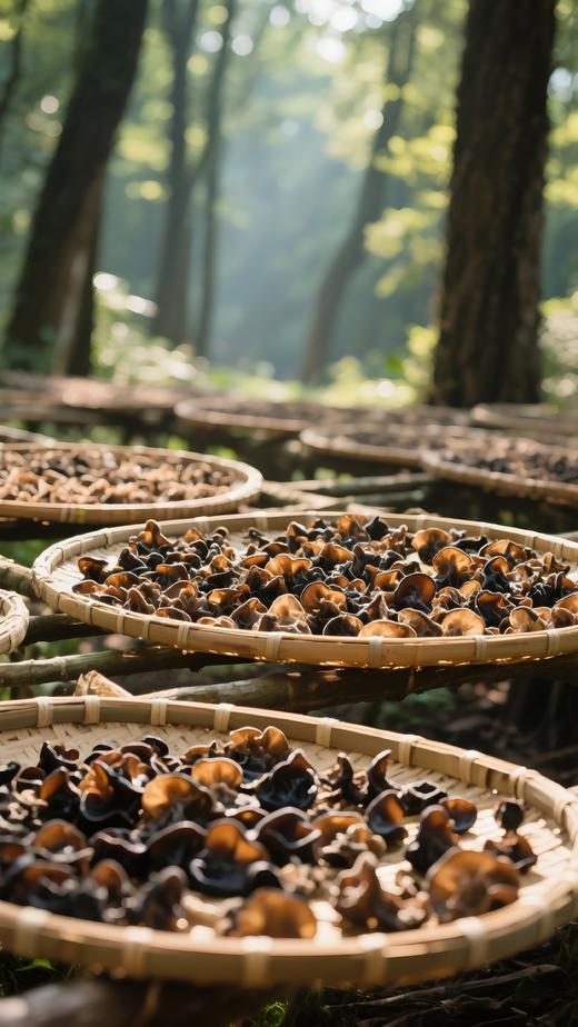 【凤品优选】九华山干黑木耳 ，野生生长 饱满厚实，口感韧滑 泡发率高 商品图5