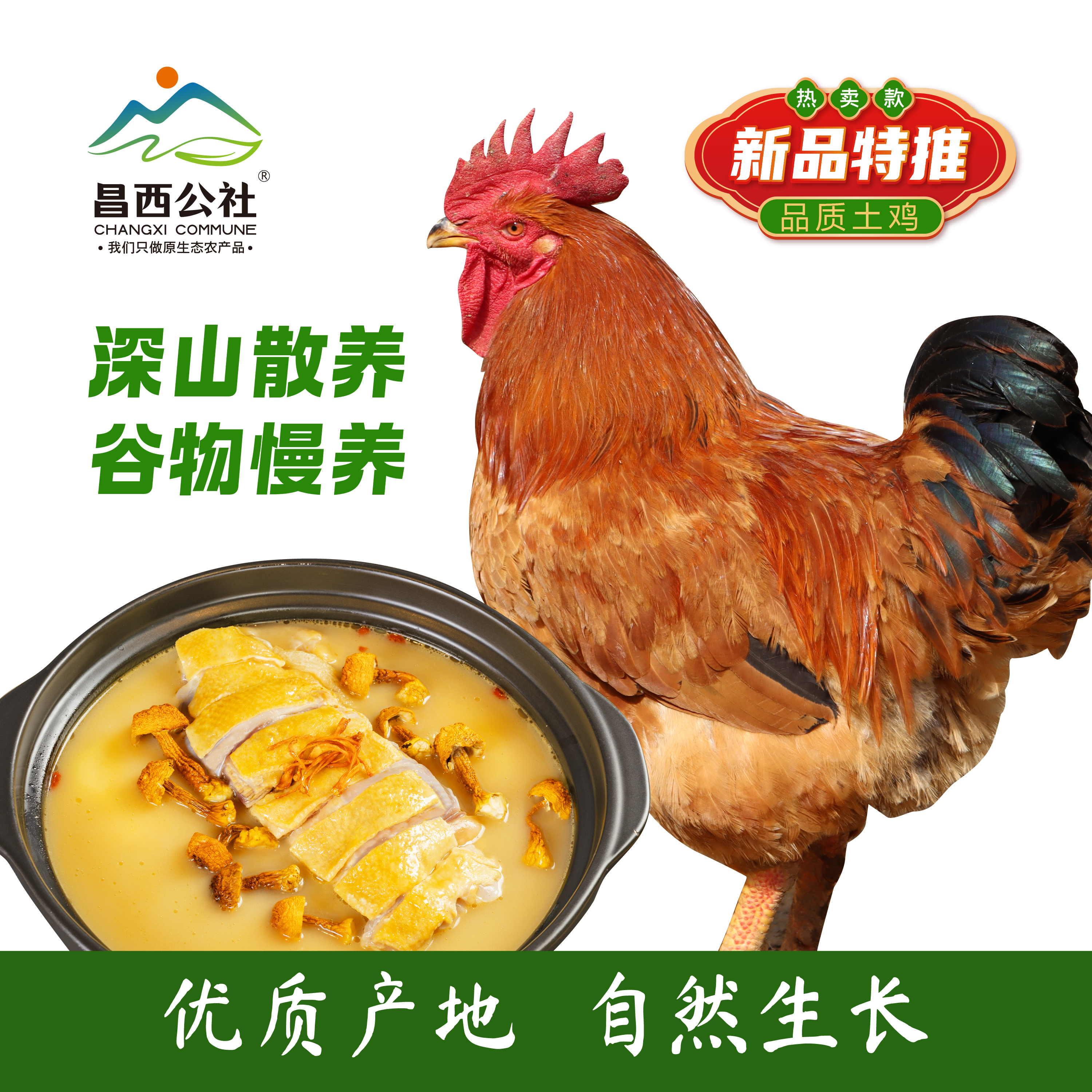 昌西公社高山散养土鸡3斤左右农家散养