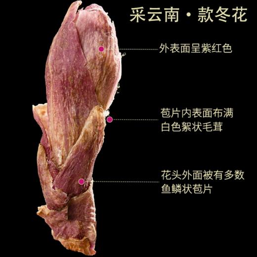 款冬花 商品图4