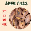 老树香榧（开口）19.8元1袋250g，明天到 商品缩略图2