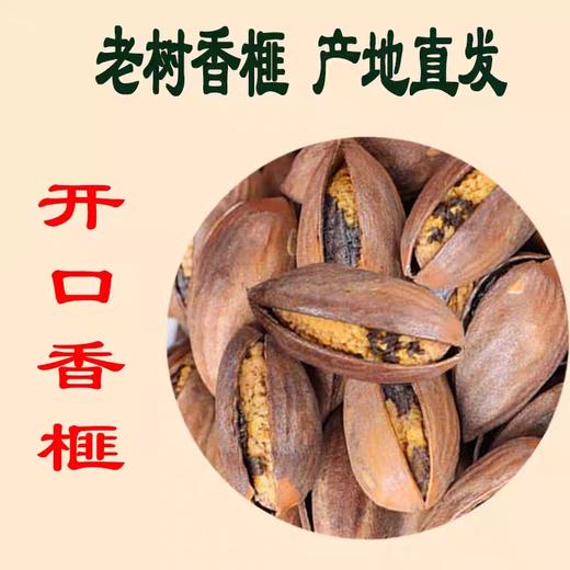 老树香榧（开口）19.8元1袋250g，明天到 商品图2