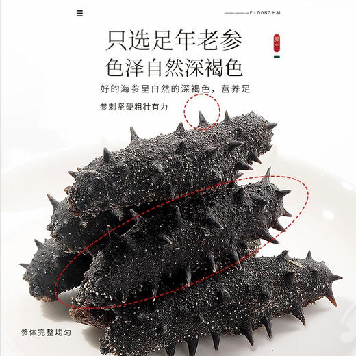 福东海 海参100克（80头）/盒 商品图2