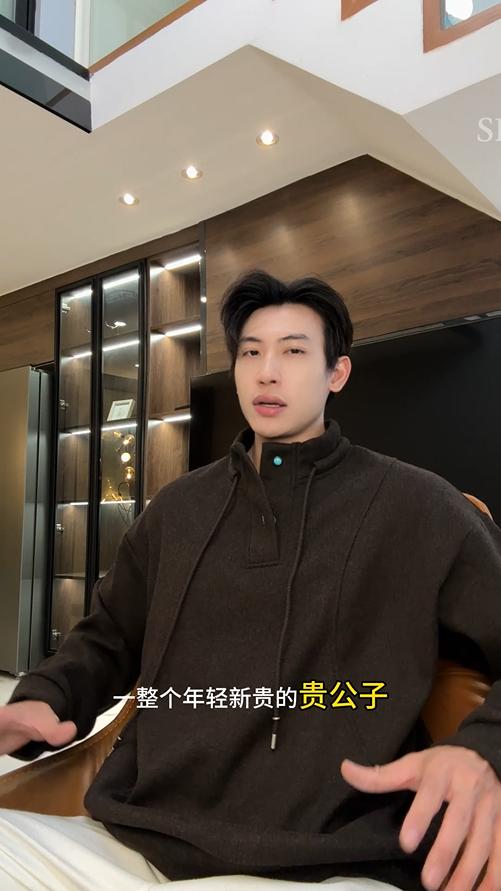 31068SDSA男士秋冬新款痞帅男装潮牌纽扣立领抽绳设计卫衣百搭舒适上衣 商品图0