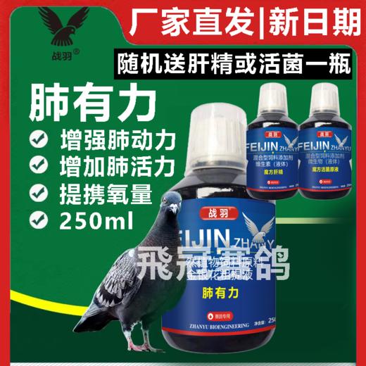 【肺有力】250ml清呼吸道比赛提速肝精增血氧气囊肺活量携（战羽鸽药） 商品图0