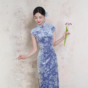 XL1601 2025年秋季新款国风银紫色钻石绒长款无袖气质日常修身旗袍